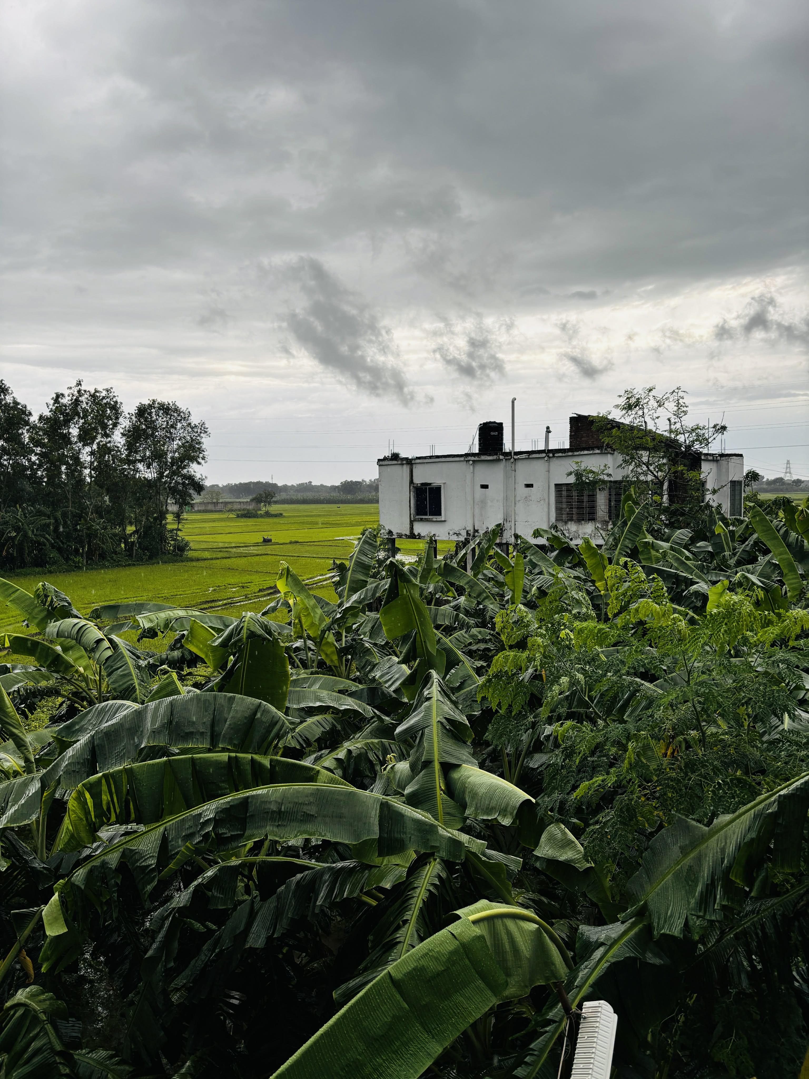 Source photo