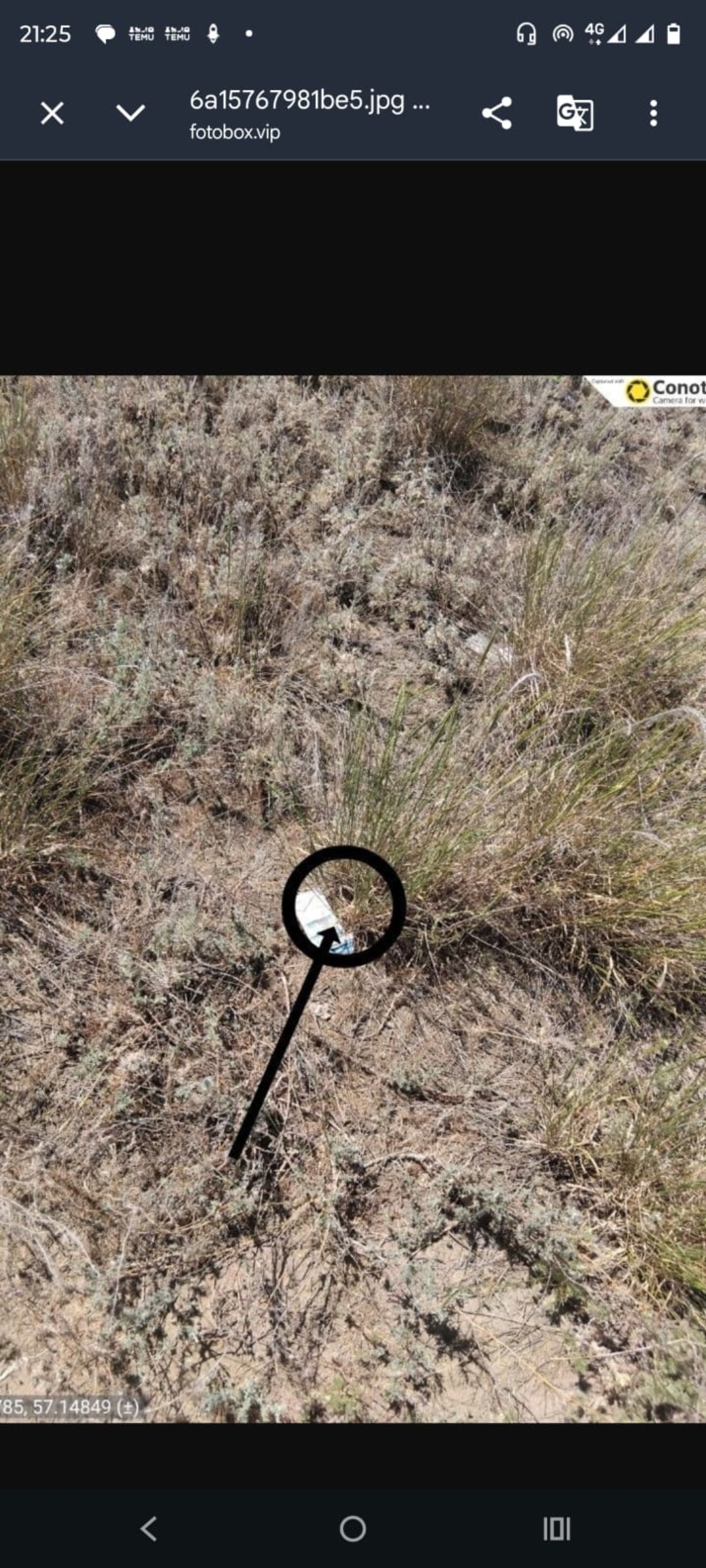 Source photo